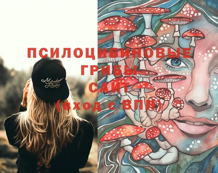 Псилоцибиновые грибы Cubensis  Красавино 